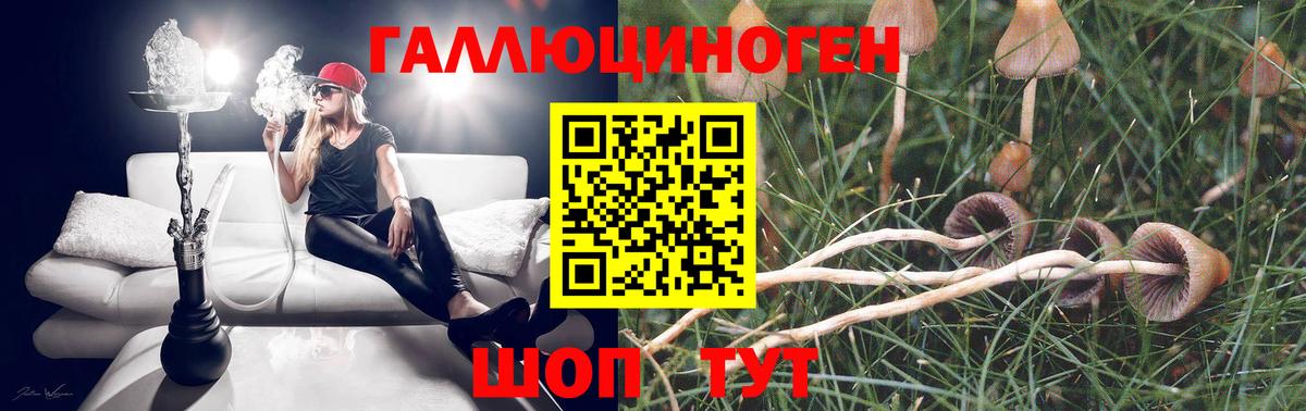 Псилоцибиновые грибы Psilocybine cubensis  Вход с VPN  Псилоцибиновые грибы мицелий  Рязань 
